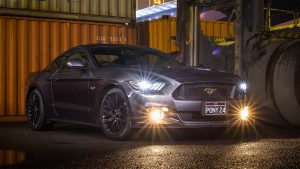 %den led o to owleye%