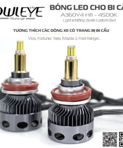 %den led o to owleye%