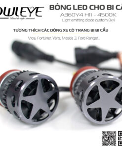 %den led o to owleye%