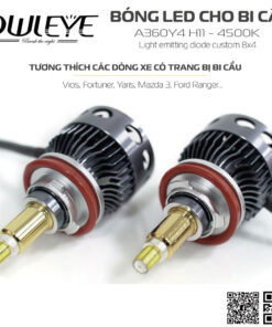 %den led o to owleye%