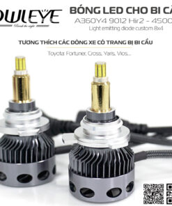 %den led o to owleye%