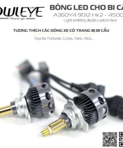 %den led o to owleye%