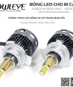 %den led o to owleye%