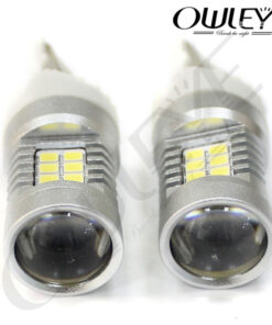 %den led o to owleye%