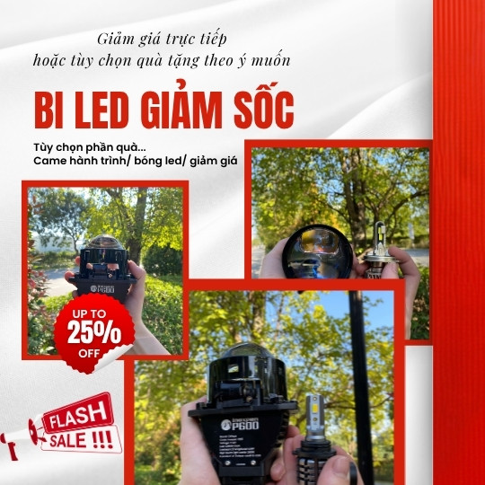 %den led o to owleye%