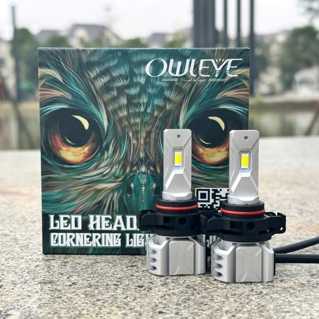 %den led o to owleye%