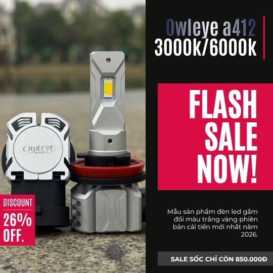 %den led o to owleye%