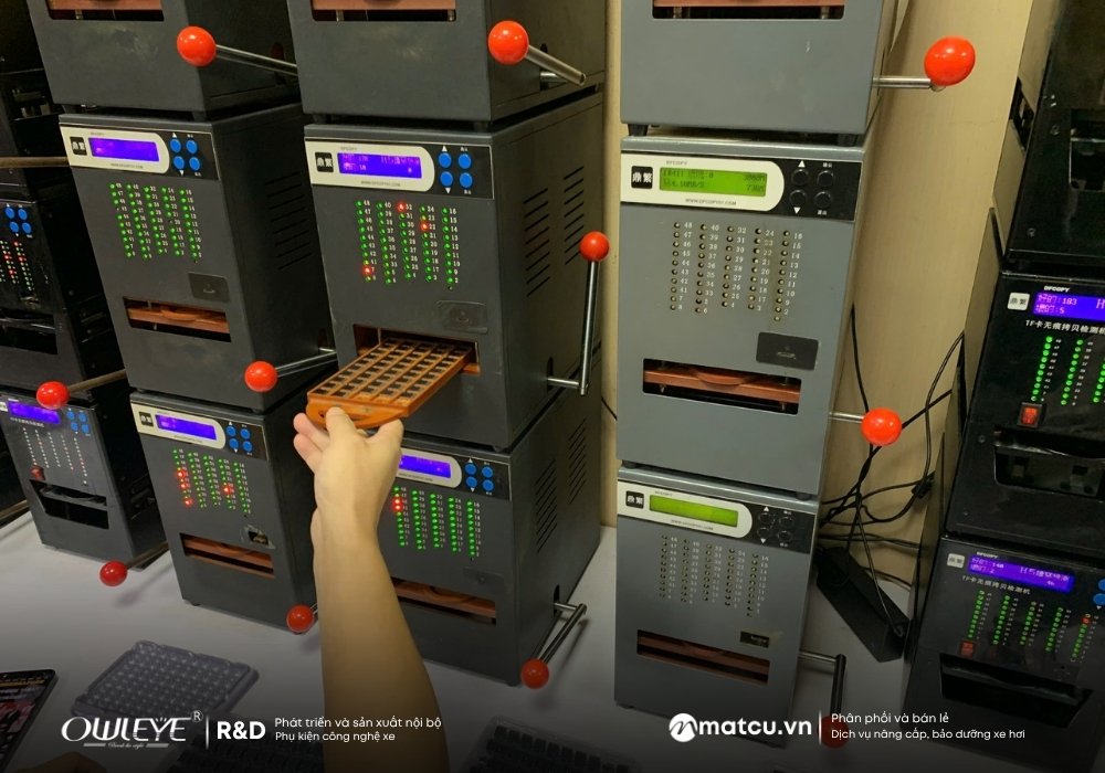 the-nho-owleye1
